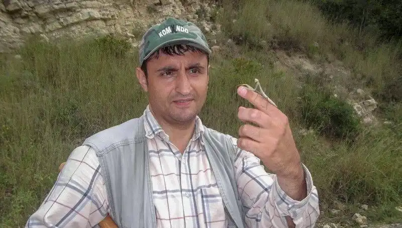 Yeni Keşfedilen Böcek Türü: Eşinin İsmiyle Anıldı, Sosyal Medya Tepkileri Büyüdü