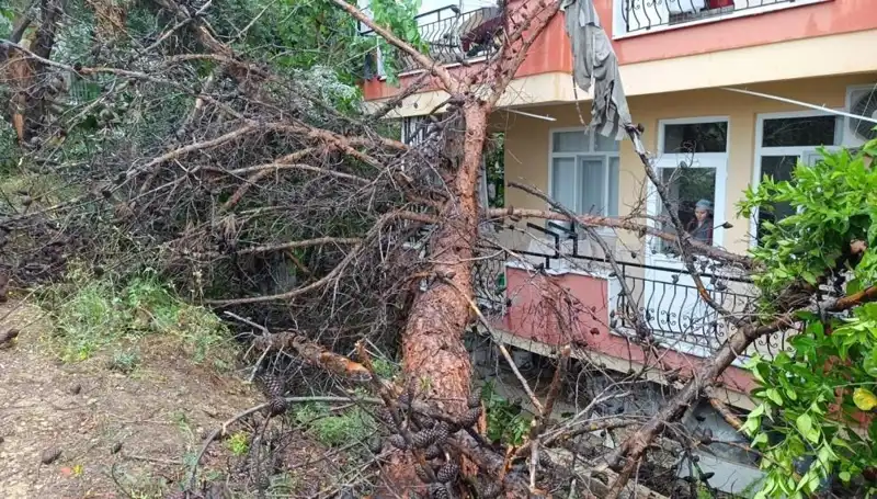 Yağmur Sonrası Felaket: Bina Çöktü, Canlılar ve Mülk Tehlikede!