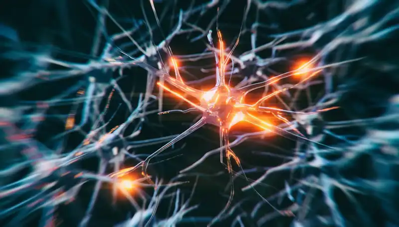 Alzheimer Vakalarında Şok Artış: Sebepleri ve Çözüm Önerileri