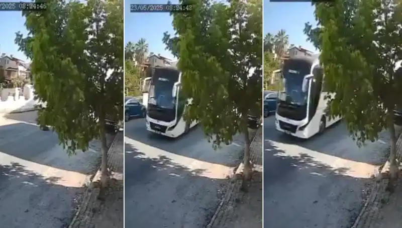 Yolda Yatan Köpeği Ezip Geçen Sürücüye Tepkiler Yağdı