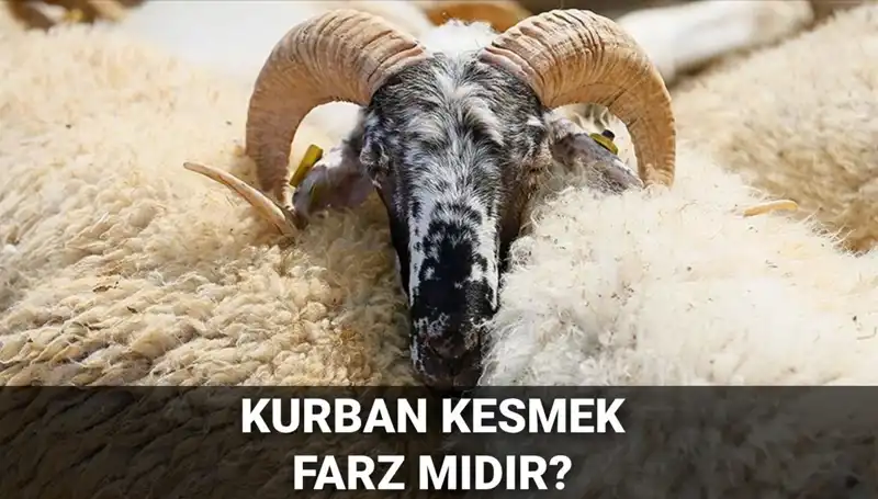 Kurban Kesmek Farz mı? Diyanet'in Açıklamalarıyla Bilgi Edinin