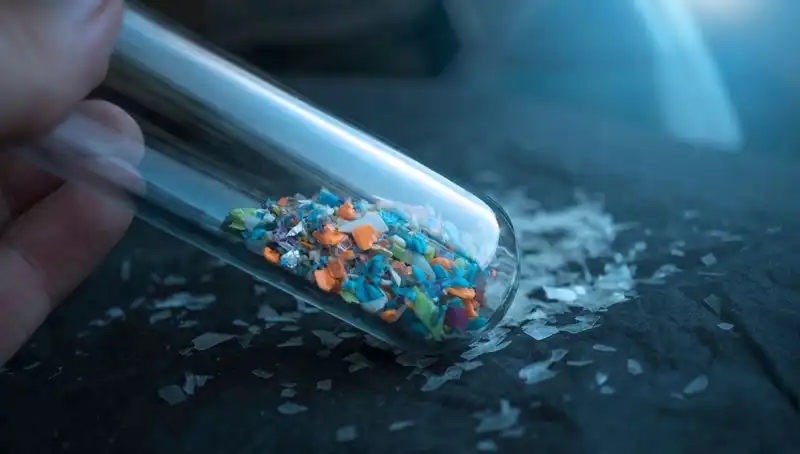 Mikroplastikler İnsan Beynine Sızdı: Sağlık Üzerine Etkileri Neler?