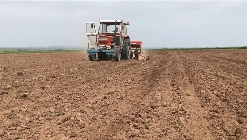 Son 35 Yılın En Kurak Mart Ayı: Yağış Miktarındaki Şok Düşüş
