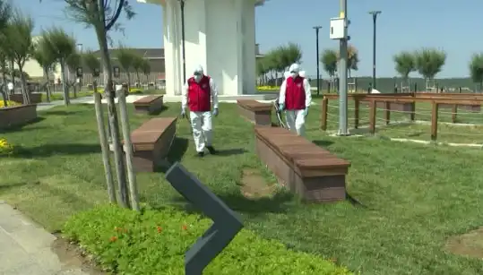 Kene Tehditi Artıyor: Halka Açık Yerlerde İlaçlama Başladı!