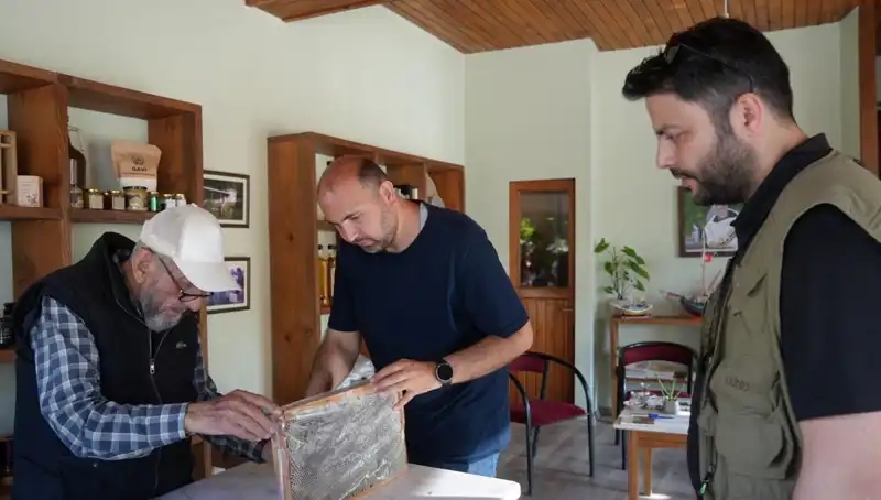 Doğada Bulunan Gizemli Şifa: 1 Çay Kaşığıyla Hem Hastalıkları Yenin Hem de Dikkat Edin
