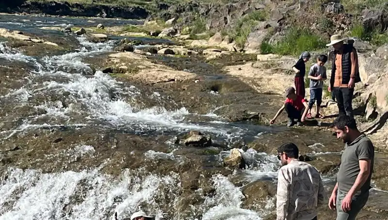 İnci Kefalinin Büyük Göçü: Doğanın Eşsiz Gösterisine Tanıklık Edin