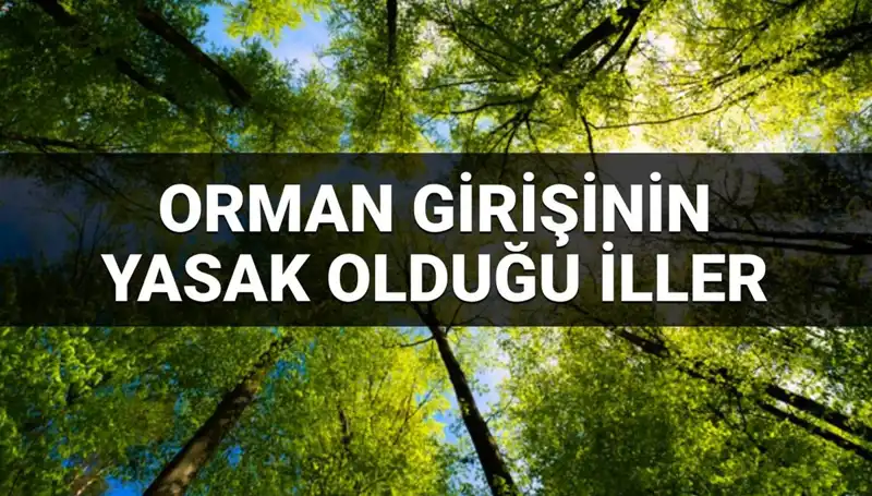 Hangi İllerde Ormana Girmek Yasak? 2025 Yılına Dair Hassas Bilgiler