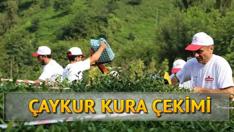 Çaykur Canlı Kura Sonuçları: İsim Listesine Ulaşmanın Yolları