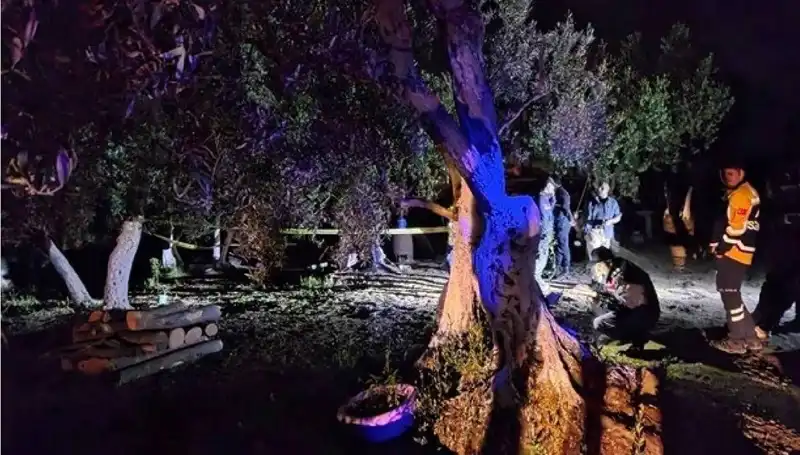 Çiftlikteki Baltalı Vahşette Tutuklama: Olayın Ardındaki Sırrı Keşfedin