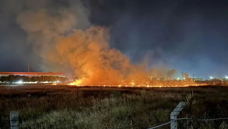 İzmir'de Gece Yarısı Yangın Paniği: Korkutan Olay ve Sonrası