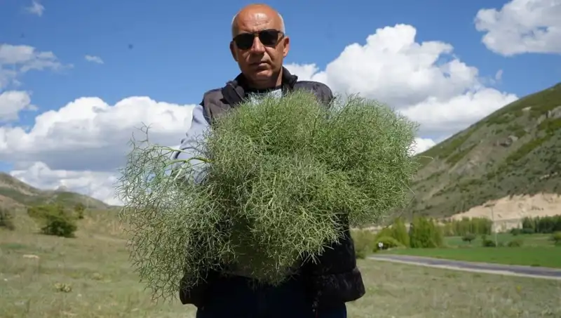 Doğanın Protein Deposuna Ulaşmak İçin 15 Kilometre Yürüyüş