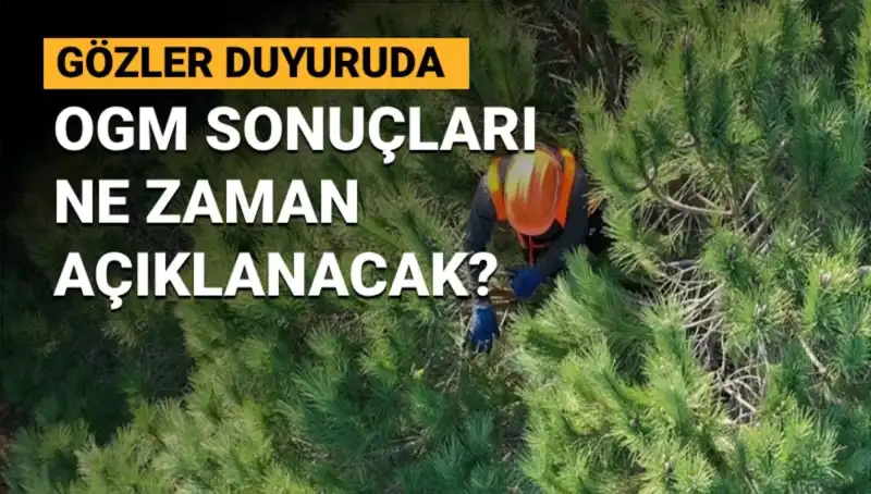 OGM Personel Alımı: 3 Bin 477 Başvuru Sonuçları Ne Zaman İlan Edilecek?